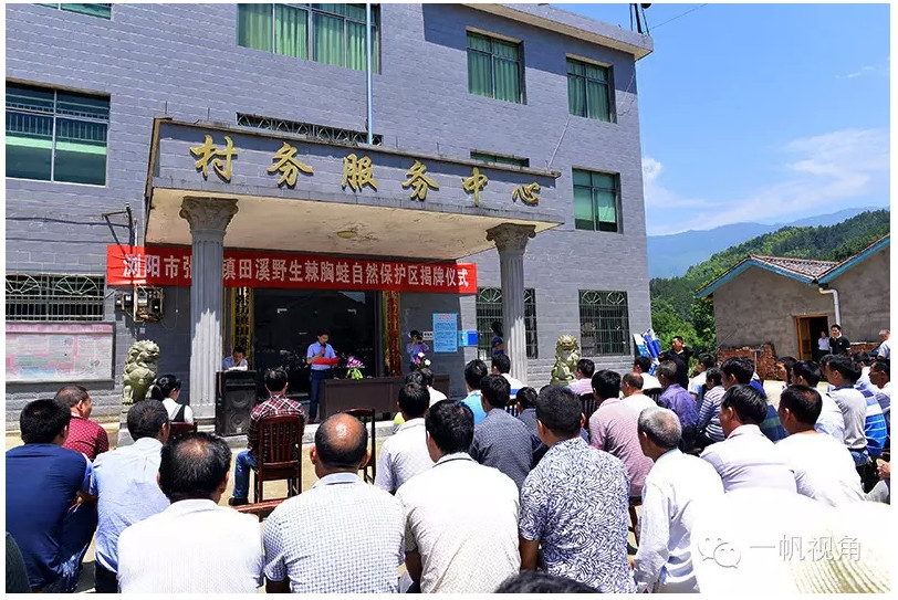 村民自建49平方公里“棘胸蛙自然保护区”